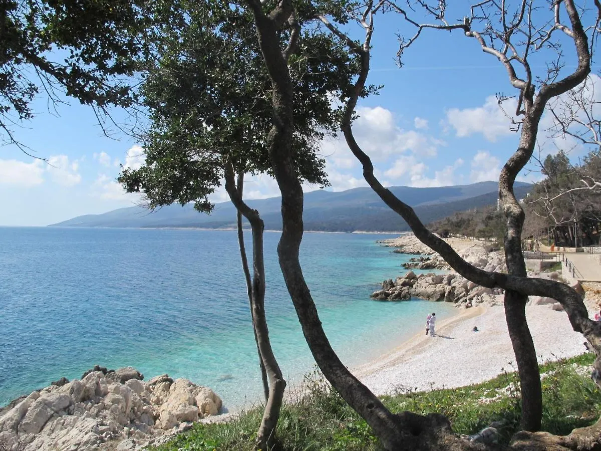 Apartment Magnolia - Rac167 By Interhome Rabac